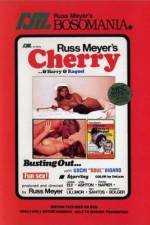 Watch Cherry Harry & Raquel Sflix