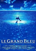 Watch The Big Blue Sflix