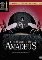 Watch The Making of \'Amadeus\' Sflix