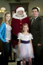 Watch The Case for Christmas Sflix