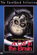 Watch Un gatto nel cervello Sflix