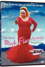 Watch Pink Flamingos Sflix