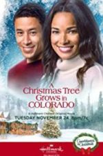 Watch A Christmas Tree Grows in Colorado Sflix