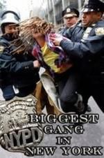 Watch NYPD: Biggest Gang in New York? Sflix