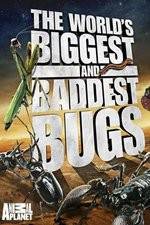 Watch Worlds Biggest and Baddest Bugs Sflix