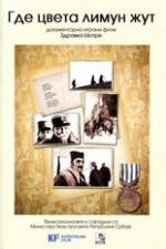 Watch Where the Yellow Lemon Blooms Sflix