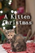 Watch A Kitten Christmas Sflix