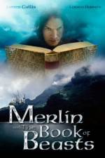 Watch Merlin and the Book of Beasts Sflix