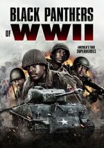 Watch Black Panthers of WWII Sflix