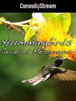 Watch Hummingbirds Jewelled Messengers Sflix