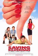 Watch Saving Silverman Sflix