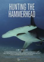 Watch Hunting the Hammerhead Sflix