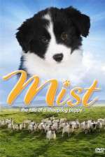 Watch Mist: The Tale of a Sheepdog Puppy Sflix