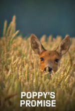 Watch Poppy\'s Promise: Secret Life in a Cornfield Sflix