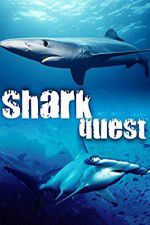 Watch Shark Quest Sflix