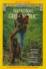Watch Search for the Great Apes Sflix