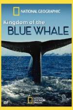 Watch National Geographic Kingdom of Blue Whale Sflix