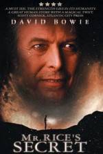 Watch Mr. Rice's Secret Sflix