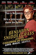 Watch Benjamin Sniddlegrass and the Cauldron of Penguins Sflix