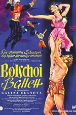 Watch The Bolshoi Ballet Sflix