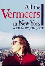 Watch All the Vermeers in New York Sflix