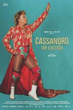 Watch Cassandro, The Exotico! Sflix