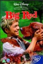 Watch Big Red Sflix
