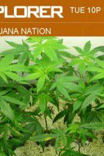 Watch Marijuana Nation Sflix