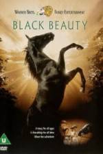 Watch Black Beauty Sflix