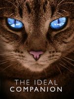 Watch The Ideal Companion Sflix