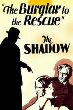 Watch A Burglar to the Rescue Sflix