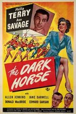 Watch The Dark Horse Sflix