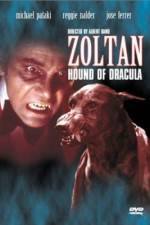 Watch Dracula's Dog Sflix