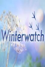 Watch Winterwatch Sflix