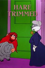 Watch Hare Trimmed (Short 1953) Sflix