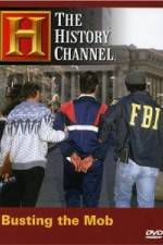 Watch The History Channel: Busting the Mob Sflix