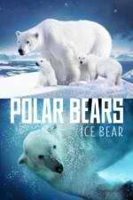 Watch Polar Bears Ice Bear Sflix