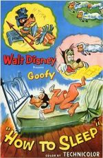 Watch How to Sleep Sflix