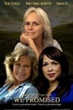 Watch We Promised Sflix