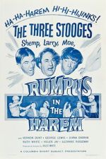 Watch Rumpus in the Harem Sflix