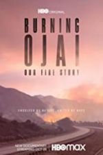Watch Burning Ojai: Our Fire Story Sflix