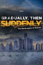 Watch Gradually, Then Suddenly: The Bankruptcy of Detroit Sflix