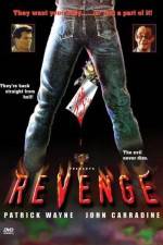 Watch Revenge Sflix