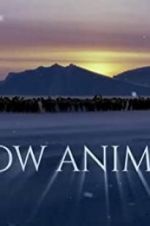 Watch Snow Animals Sflix