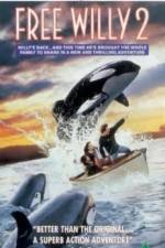 Watch Free Willy 2 The Adventure Home Sflix