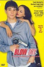 Watch Blow Dry Sflix