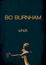 Watch Bo Burnham: what. (TV Special 2013) Sflix