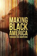 Watch Making Black America: Through the Grapevine Sflix