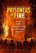 Watch Prisoners of Fire Sflix
