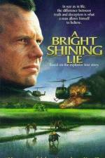 Watch A Bright Shining Lie Sflix